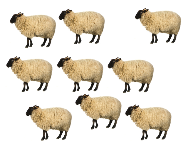 three-black-sheep-counting-cards-with-the-numbers-1-3-on-them-and-one-to-two